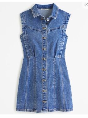 Abercrombie Denim Dress